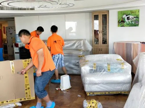 芦淞精品搬家公司